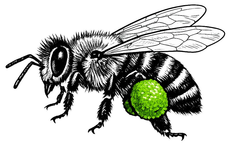 Green Pollen logo